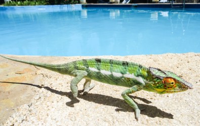 voyage à madagascar